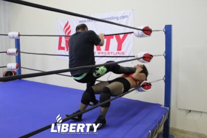 01295: Brian Rodgers vs. Lady Bird Monroe - Image 4